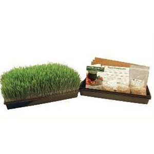 Wheatgrass Growing Kit